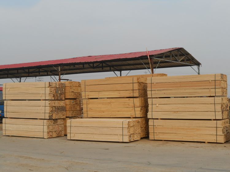 選板材莫被名稱忽悠，桂湖教你如何選材